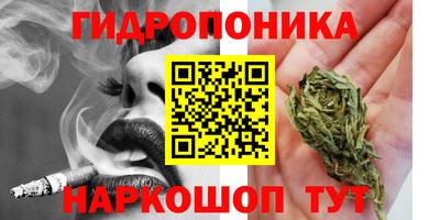 мдпв Гуково