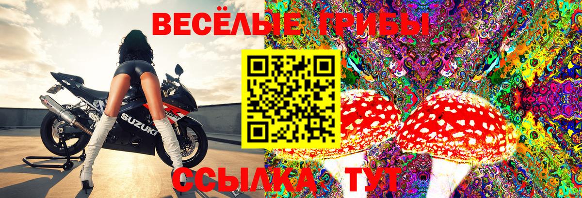 Псилоцибиновые грибы Cubensis  Вход с VPN  Губкинский 